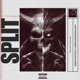 Split Single