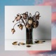 dead flowers Single
