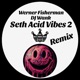 Seth Acid Vibes 2 Remix Single