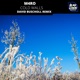 Cold Walls David Buscholl Remix Single