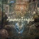 Anime fragili Single
