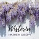 Wisteria Single