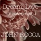 Dream Love Instrumental Single