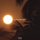 Born In The Night Single