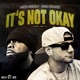 It s Not Okay feat Ant G Single