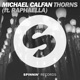 Thorns feat Raphaella Single