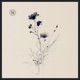 Chopin Mazurkas Op 6 No 1 in F Sharp Minor Single