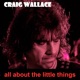 All About the Little Things Single