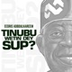 Tinubu Wetin dey Sup Single
