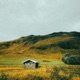 Simple At Home Single