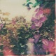 Stop and Smell the Flowers Sometime EP