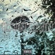 Rain Rain feat Pocket Single