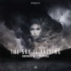 The Sky Is Falling Single