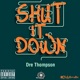 Shut It Down Single