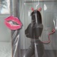 Mala feat Gnonto Single