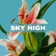 Sky High Single