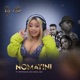 Noma Yini feat Professor Ndu Shezi Mdu Single
