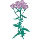 Music to Watch Seeds Grow by 009 Patricia Wolf Yarrow