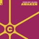 Awaken Single