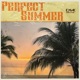 Perfect Summer feat Sevyn Single