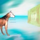 STRAY MUTT