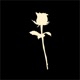 Loverboy Single