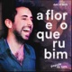 A Flor e o Querubim Pagode do Tatit Single