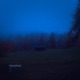 Sleepless Single
