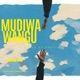 Mudiwa Wangu Single
