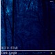 Dark Jungle Single