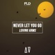 Never Let You Go Single