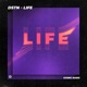 Life Extended Mix Single
