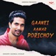 Gaanei Aamar Porichoy Single