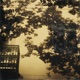 New Beginnings Single