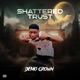 Shattered Trust Single