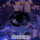 perceptions feat lucidvijay Single