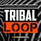 Tribal Loop Single