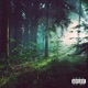 All Alone Single
