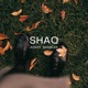 SHAQ Single