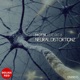 Neural Distortionz Single