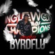 ByrdFlu