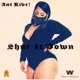 Shut It Down feat Ant Live Single