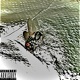 I AIN T COMPLETE feat CallMeDarko Single
