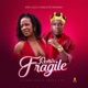 Fragile Remix Single