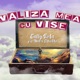 Valiza Mea Cu Vise feat Mitza Estradda Single