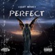 Perfect Single