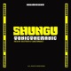 Shungu Single