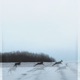 Песни Single