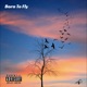 Born to Fly EP