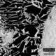 Textures Single